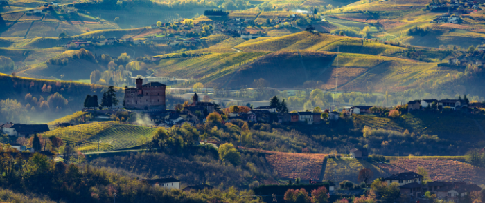 Italiens Weinregionen